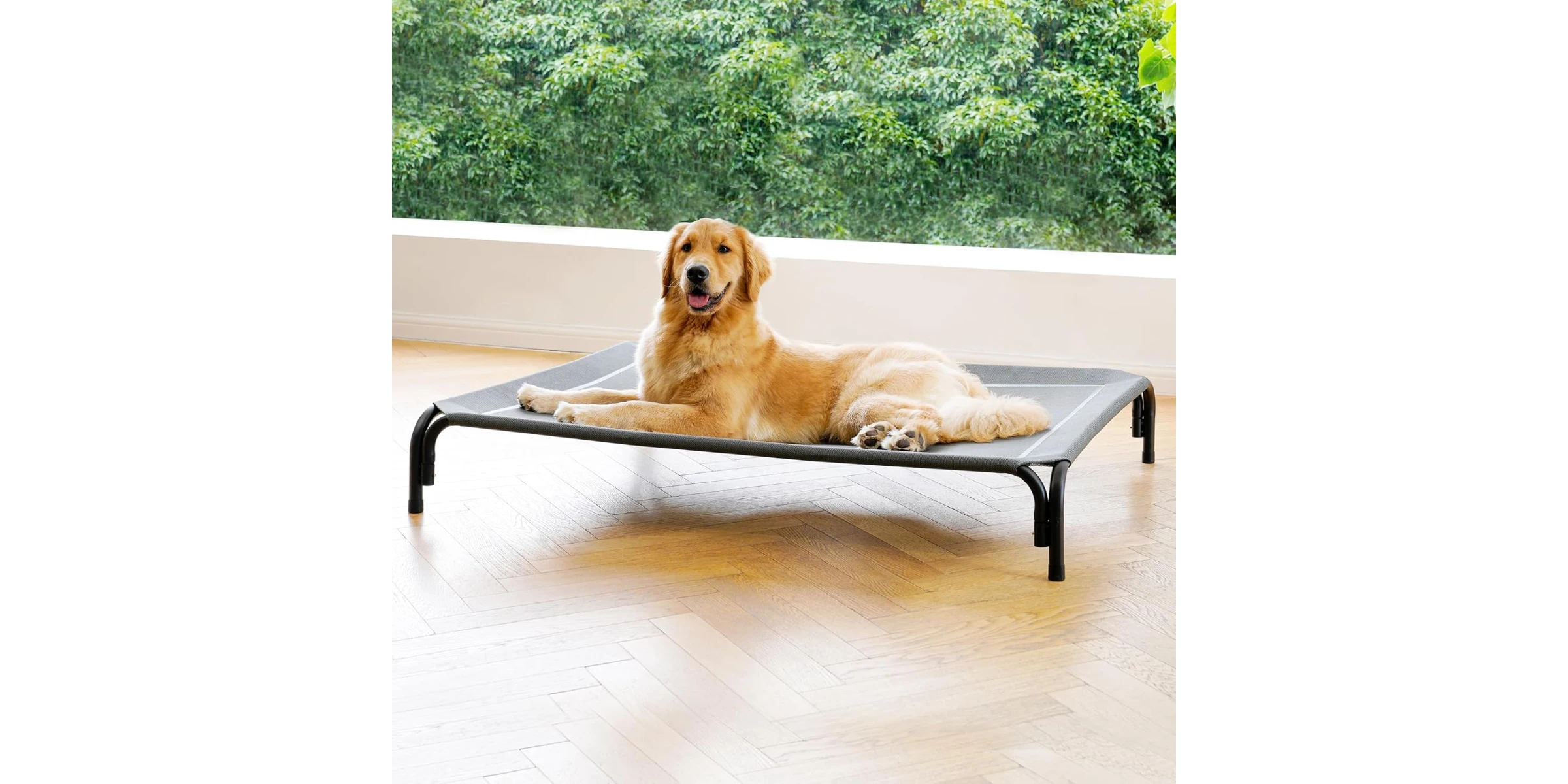 Elevated Dog Bed Raised Outdoor Dog Cot